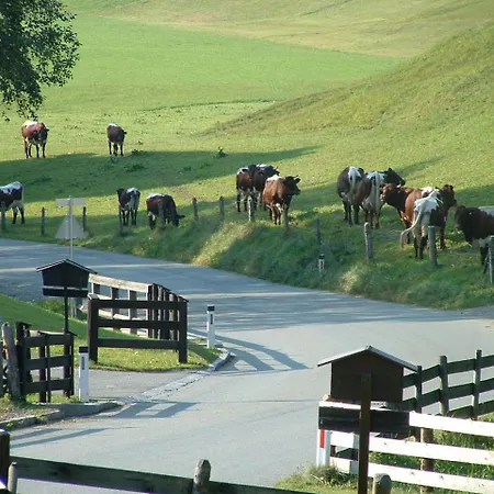 Hallerwirt Homes شقة اوراخ باي كيتزبوهيل