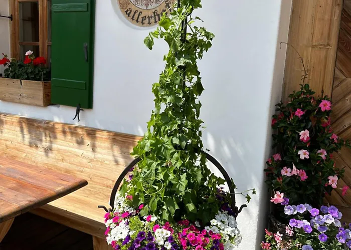 Hallerwirt Homes 公寓 *