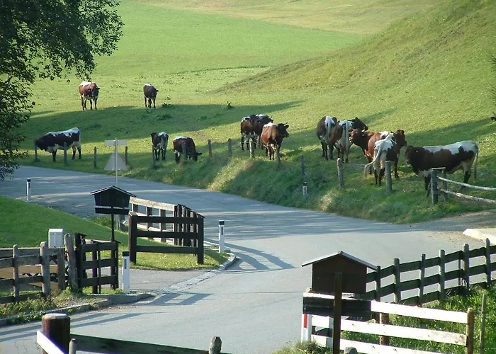 Hallerwirt Homes Appartement Aurach bei Kitzbuehel